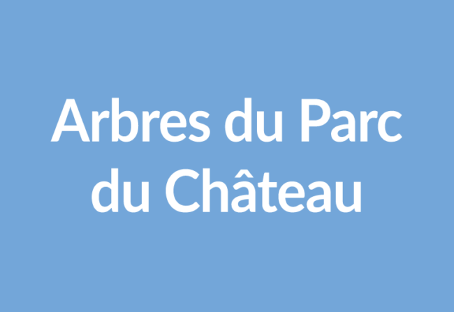 arbres