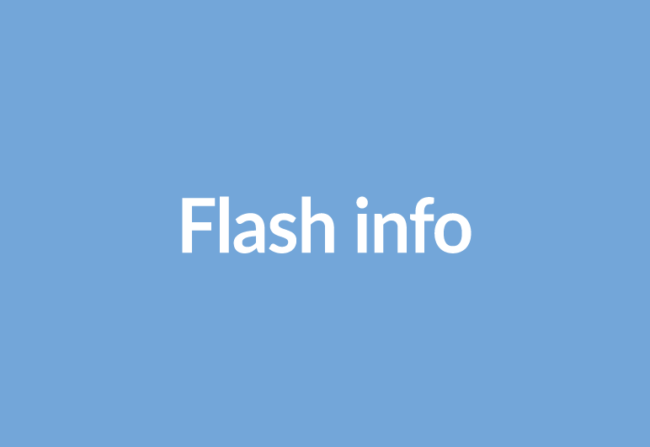 flashinfo