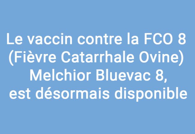 Vaccin contre la FCO 8